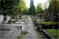 cimitir jpg