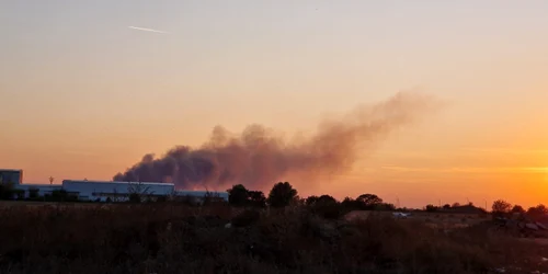 incendiu Ilfov, foto Facebook Daniel Nutu jpg