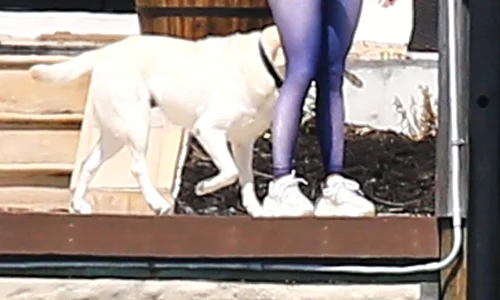 1 profimedia 0612511980 jpg jpeg