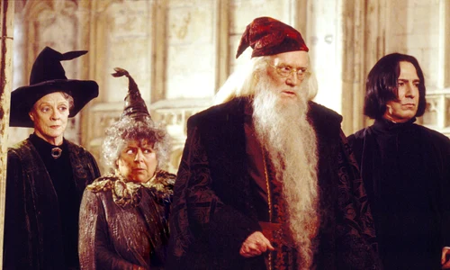 1 potter deschidere profimedia 0148540292 jpg jpeg