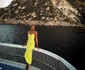 vacanta naomie harris7 png