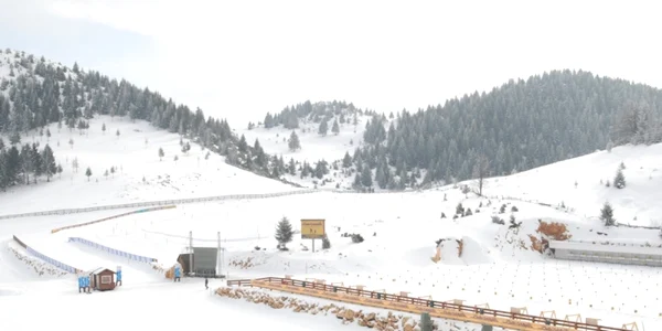 Traseul de biatlon de la Cheile Grădiştei.foto.eyowf2013.ro