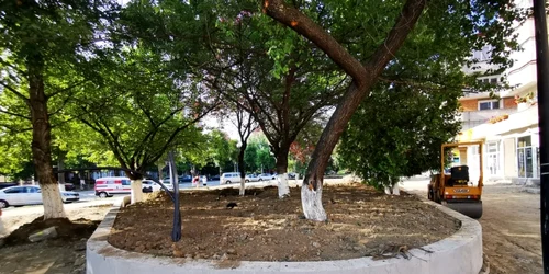 zona sanitas foto daniel guta