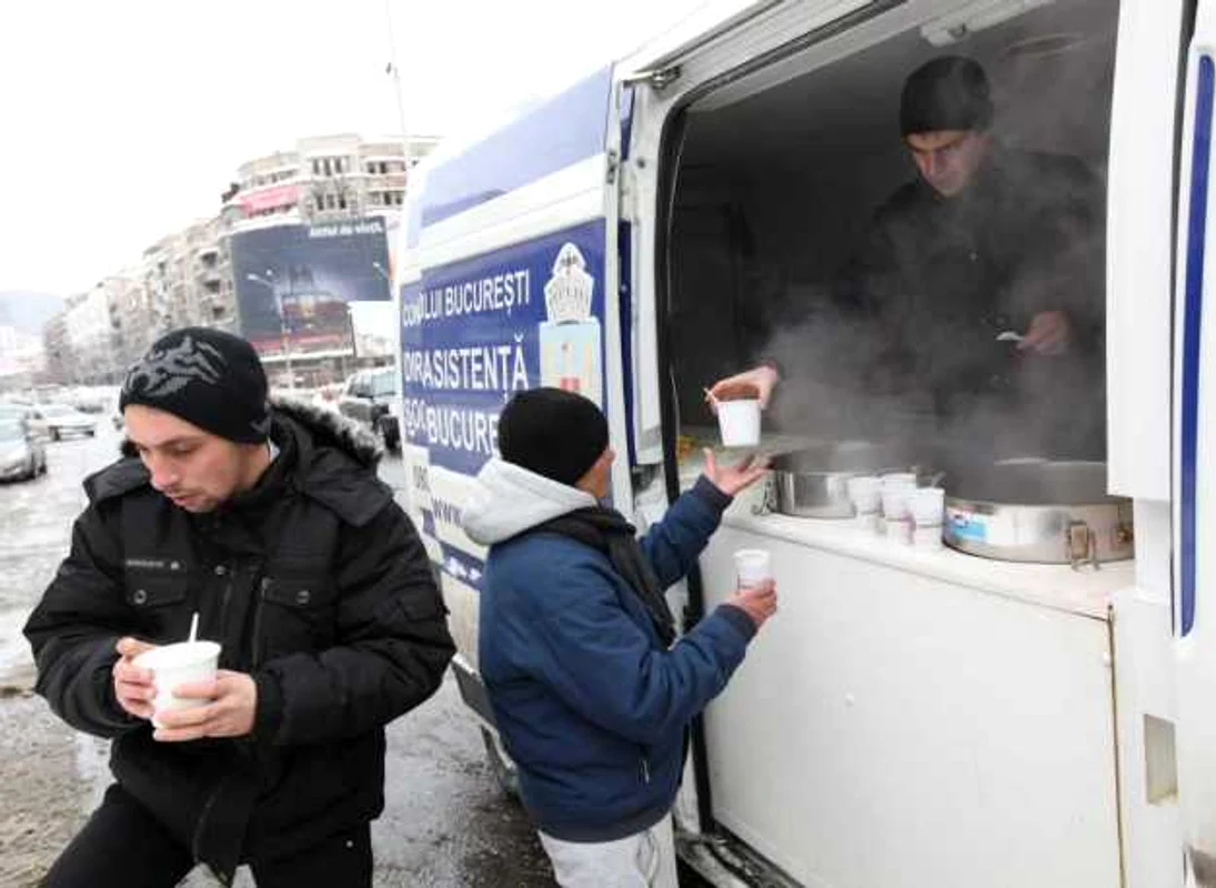 boschetari bucuresti