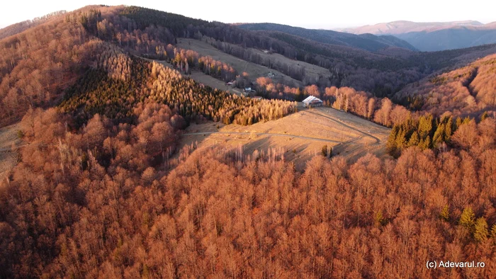 Prislop. Foto: Adevărul.