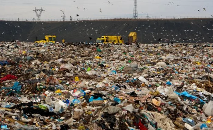 
    Băiatul în vârstă de 14 ani scormonea prin gunoi căutând peturi  