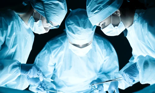 shutterstock 280947350 jpg