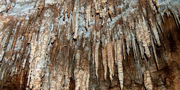 pestera tausoare  5