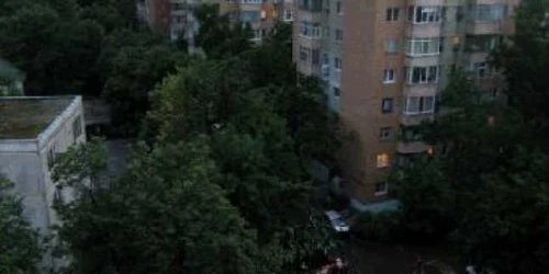 Bacău: Copac căzut peste mașină