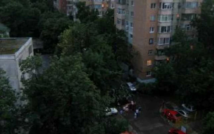 Bacău: Copac căzut peste mașină