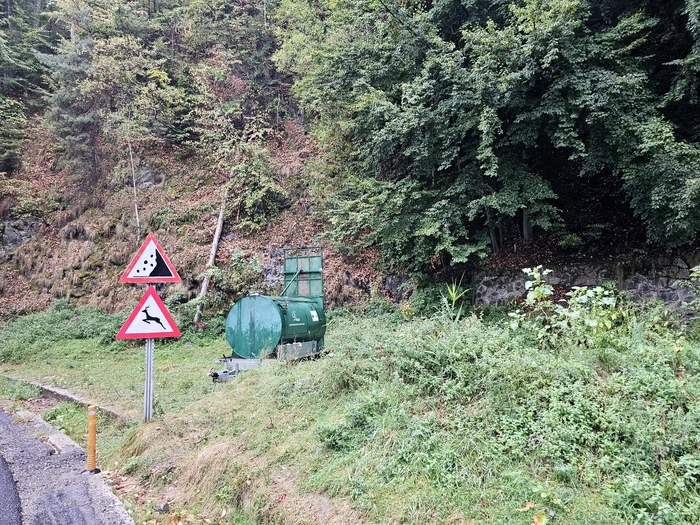 A fost montată o cușcă pentru capturarea unei ursoaice cu pui Foto: Prefectura Arges