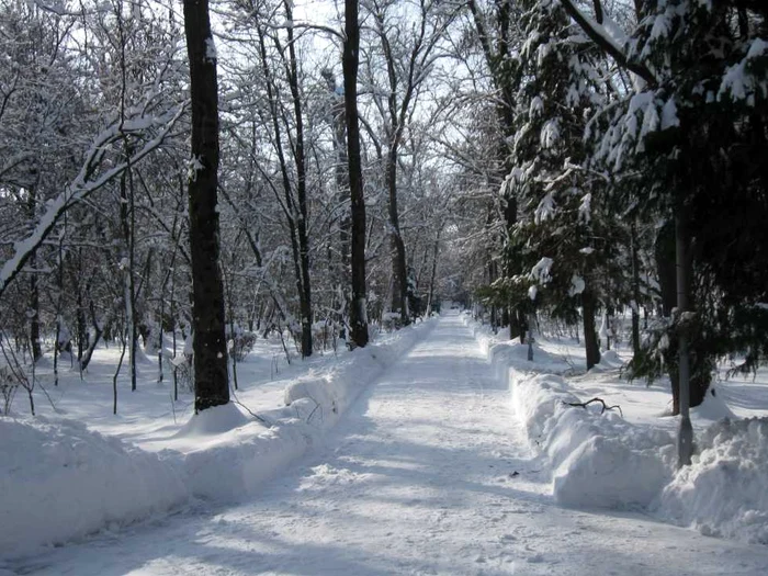 Aleile din parc au fost deszăpezite