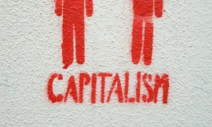 Democraţie şi capitalism, un mariaj neaoş românesc jpeg
