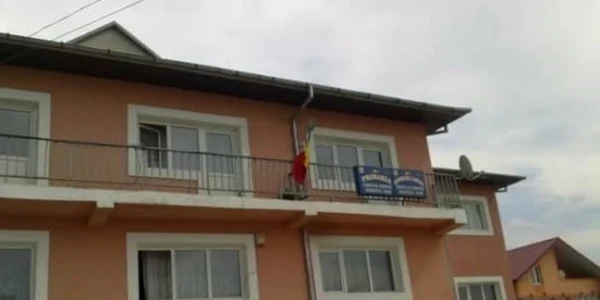primaria tibana