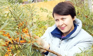 12 13 sanatate 5 jpeg