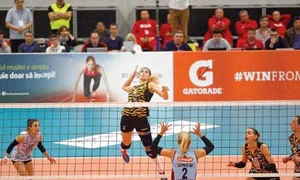 29 sport  aml0031 jpeg