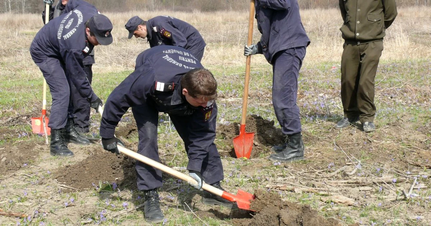 Copaci plantaţi la Sculeni