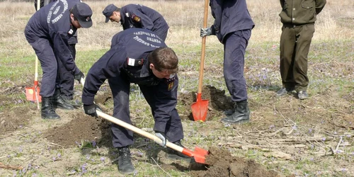 Copaci plantaţi la Sculeni