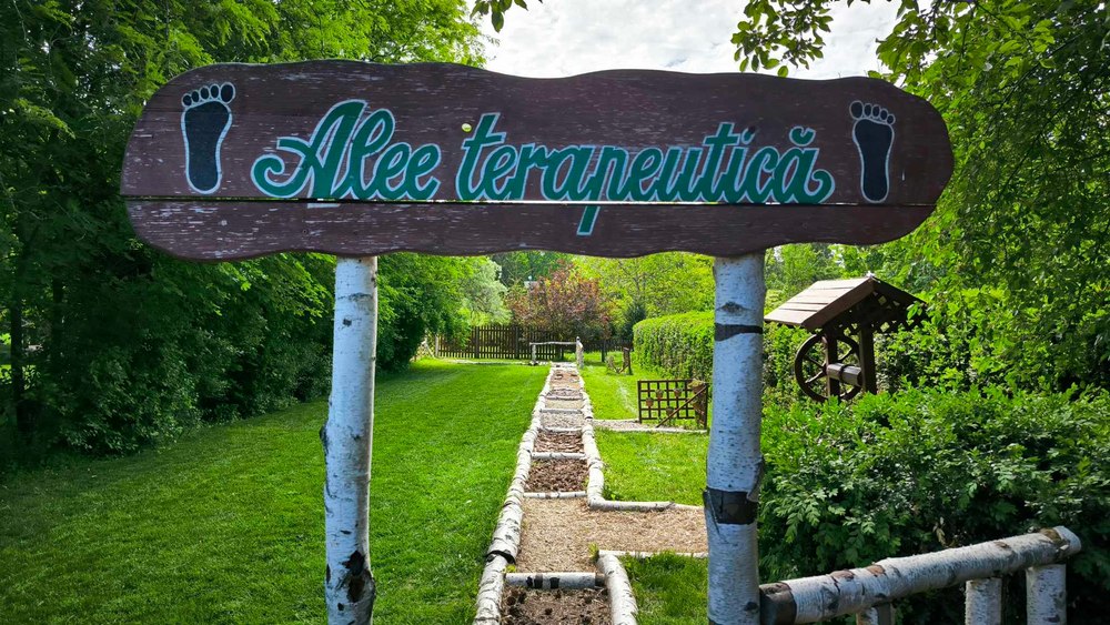 Grădina Senzorială și Botanica Distractivă, două atracții care aduc natura mai aproape de români. Unde pot fi vizitate FOTO