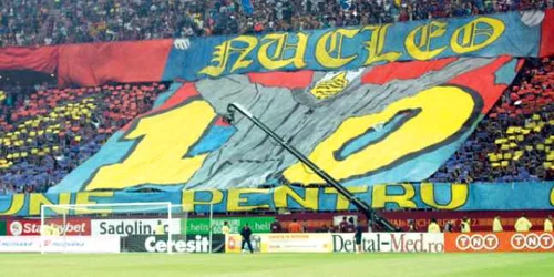 Fanii Stelei susţin considerabil bugetul clubului