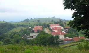 Ravensca 2