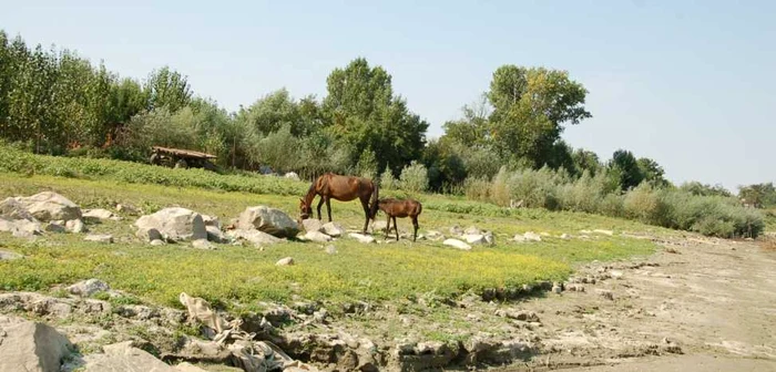 Pe faleza unde ar fi trebuit să se plimbe oameni, pasc cai, sunt abandonate bărci defecte şi gunoaie