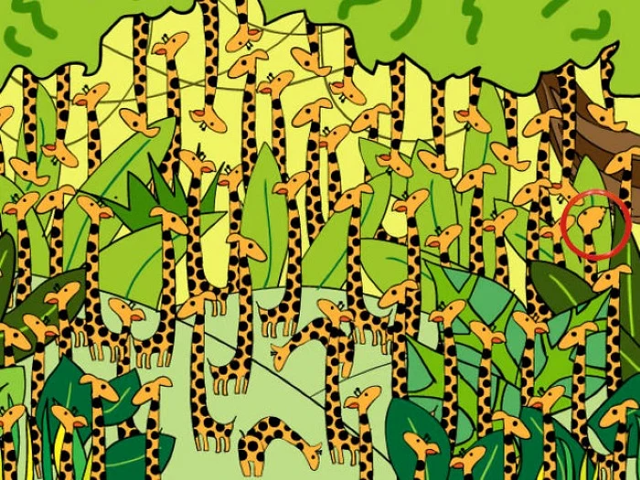 Rezolvarea provocării