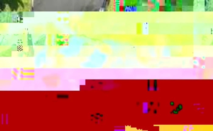 Satu Mare: Accident mortal la Apa