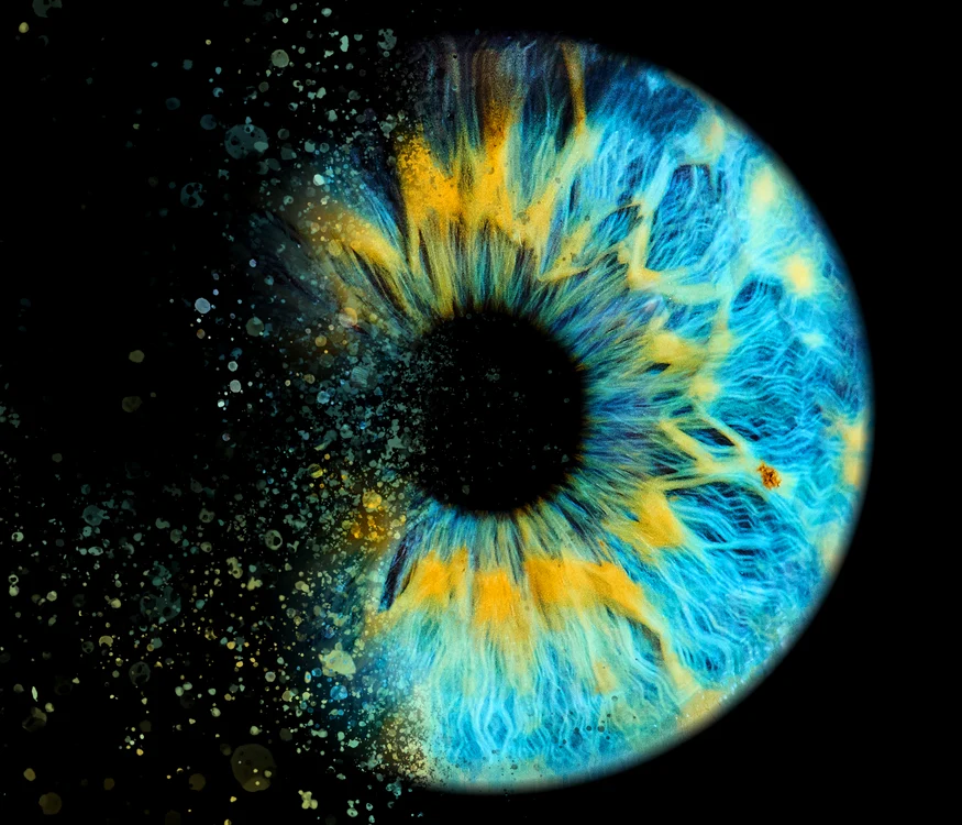 Iris FOTO Shutterstock