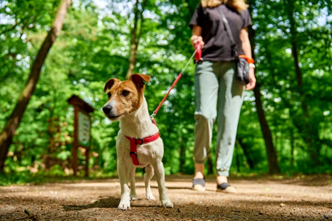 Lesa nu trebuie ținută prea strâns / foto: IStock