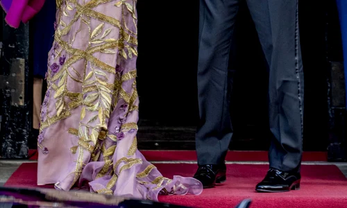 regina maxima hepta 2890181 jpg jpeg