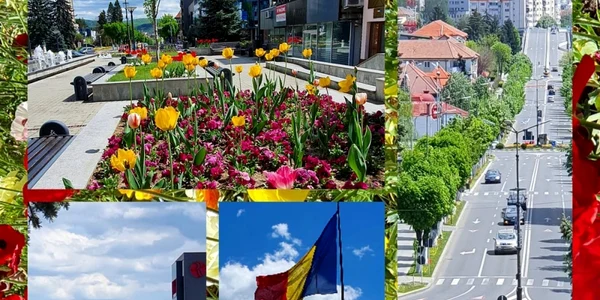 Amenajări florale pe străzile din Râmnicu Vâlcea Foto Poze şi lucruri frumoase