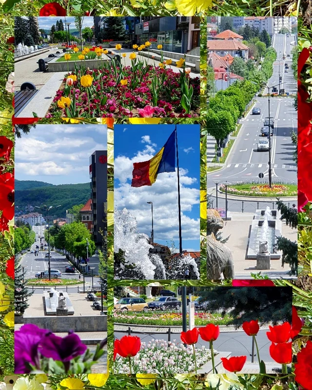 Amenajări florale pe străzile din Râmnicu Vâlcea Foto Poze şi lucruri frumoase