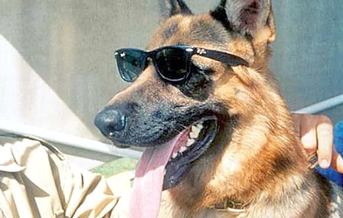 1. Gunther IV 372 milioane $