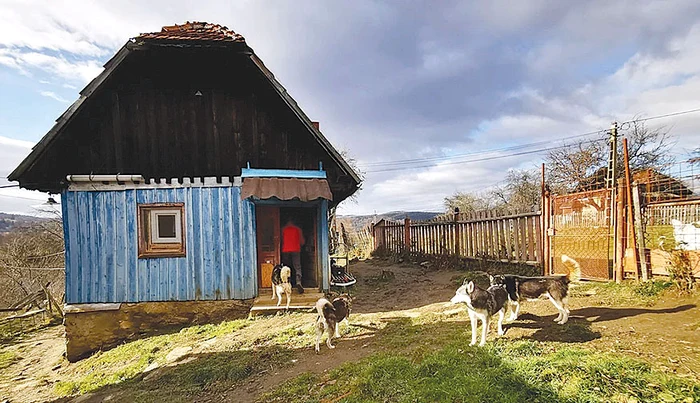 Casa lui  Dan Sabău