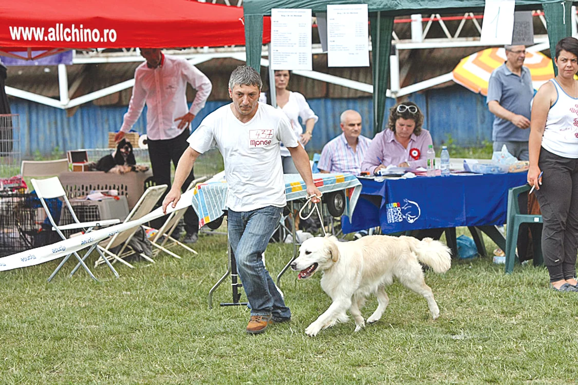 
    Foto: Dorin Constanda  