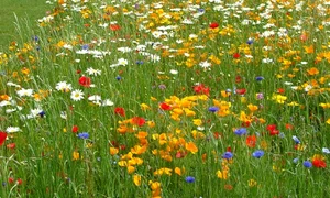 CLIIMA20140210 0139 1 jpeg