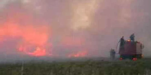 Satu Mare: Şapte hectare de vegetaţie uscată au ars ieri la Ardud şi Livada