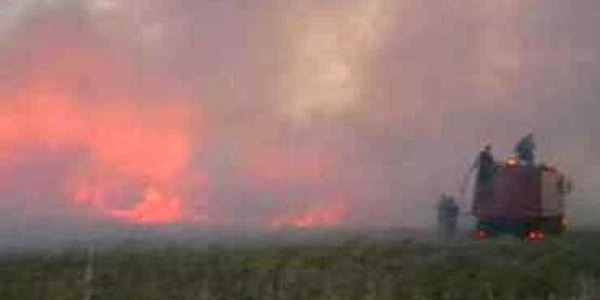 Satu Mare: Şapte hectare de vegetaţie uscată au ars ieri la Ardud şi Livada