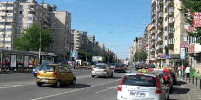 Nufărul, floarea tranzacţiilor imobiliare din Oradea