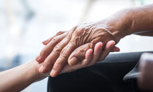 1 shutterstock 511367386 jpg jpeg