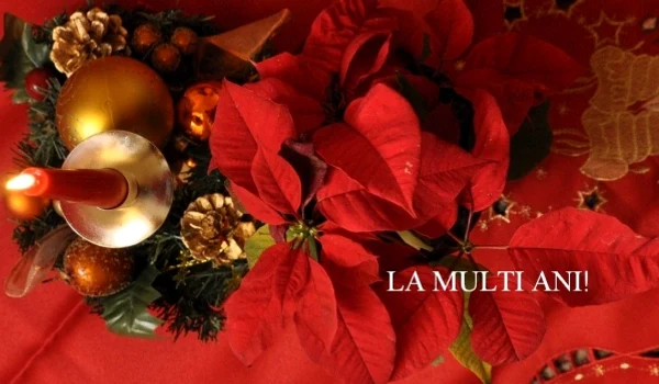 1 84604 original jpg jpeg