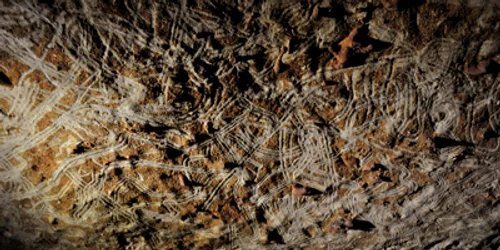 Arheologii cred că picturile aparţin unor copii