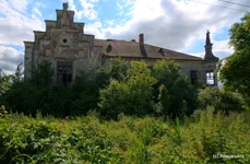 Castelul din Uioara  Foto Daniel Guță  ADEVĂRUL (2) jpg