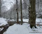 Pasul Vulcan Cascada Lupilor Foto Daniel Guță ADEVĂRUL (14) jpg
