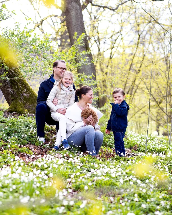 Familia regală suedeză jpg