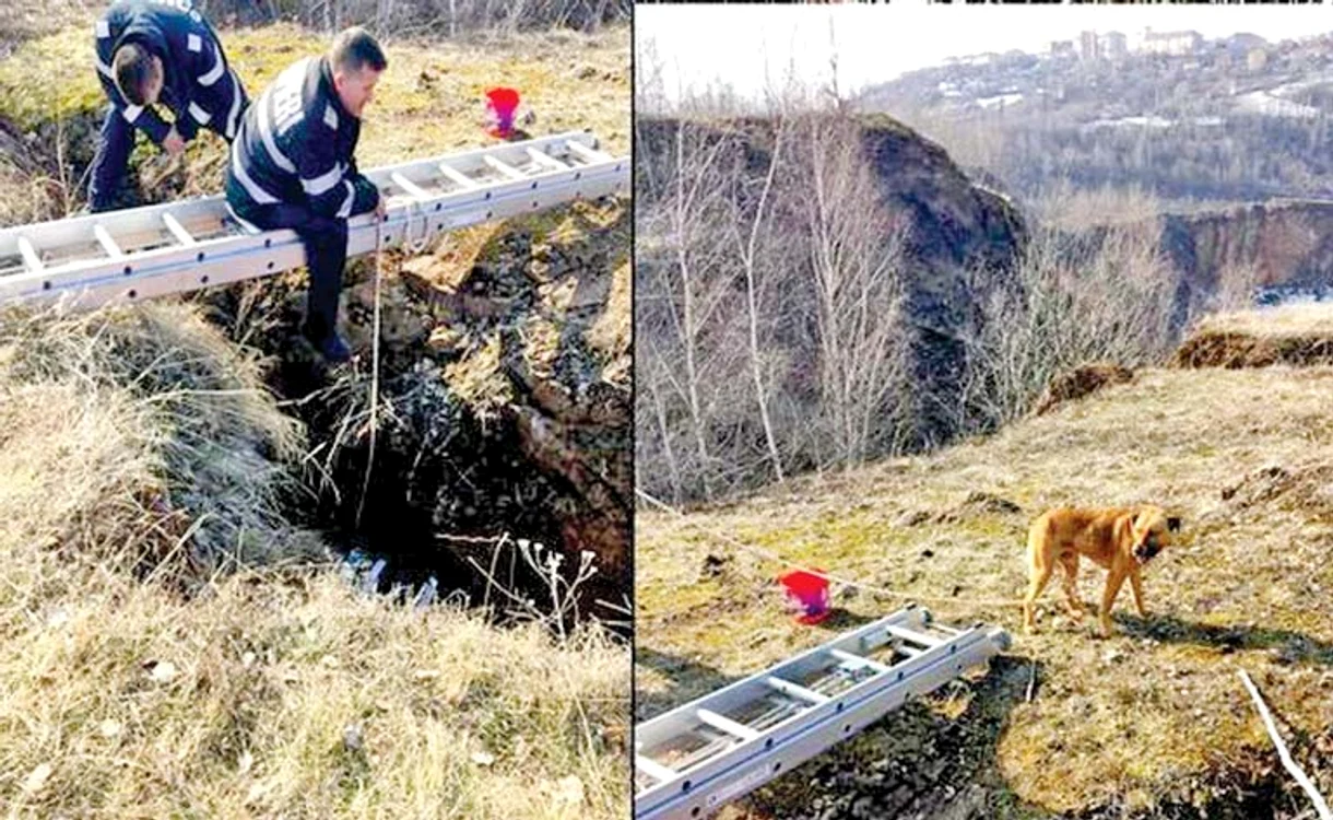 
    Foto: ISU Hunedoara  
