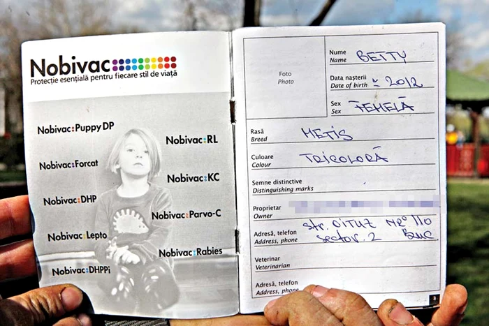 Aşa arată un carnet de sănătate,  obligatoriu fiecărui căţel
