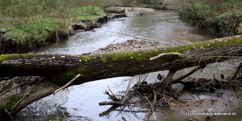 rau hunedoara foto arhiva