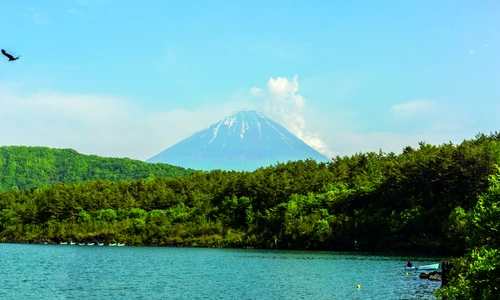 1 75391 original jpg jpeg